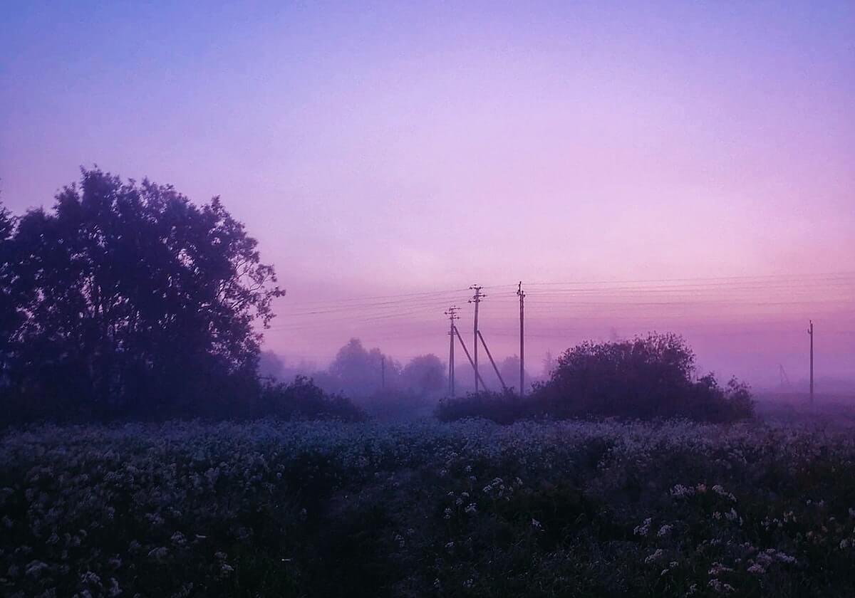 今日头条:粉色视频观看曝光 · 特辑8613